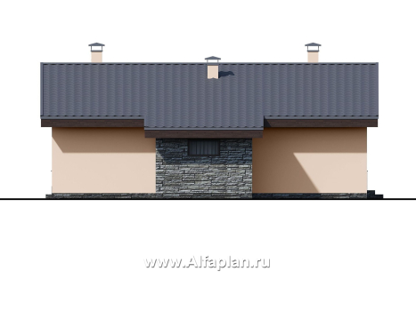 Проекты домов Альфаплан - «Дельта» - удобный и практичный каркасный дом в один этаж - превью фасада №3