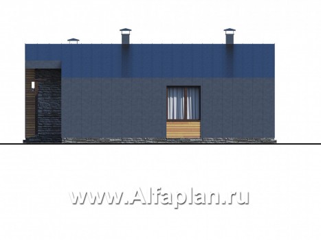 Проекты домов Альфаплан - «Альфа» - каркасный коттедж с фальцевыми фасадами - превью фасада №2