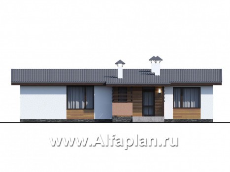 Проекты домов Альфаплан - «Зита» - просторный коттедж в один этаж с сауной и джакузи - превью фасада №4